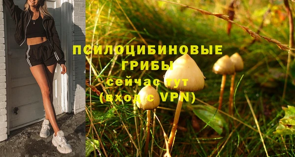 гидра Киреевск
