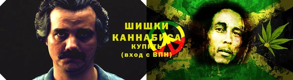 гидра Киреевск