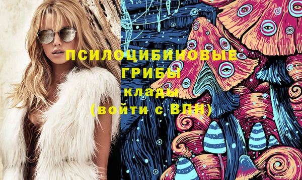 МДПВ Щигры