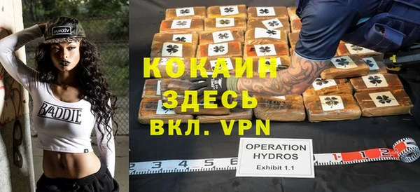гидра Киреевск