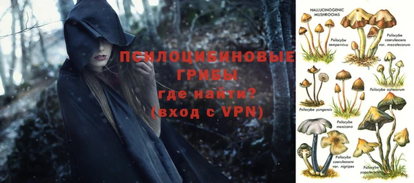 прущая мука Киренск