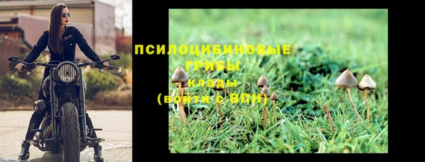 гидра Киреевск