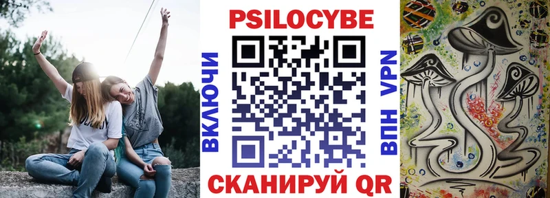 Галлюциногенные грибы MAGIC MUSHROOMS  Купить закладки  Новоалександровск 